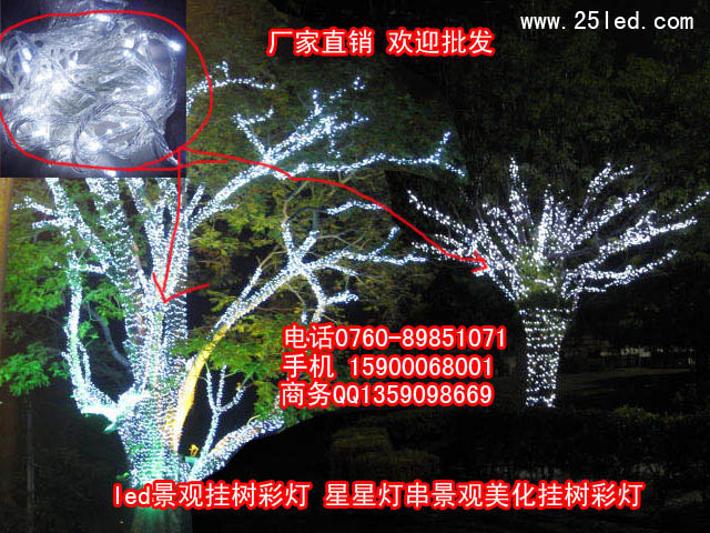 LED灯串 彩灯 圣诞节彩灯 串灯 婚庆装饰灯串 10米100头 品牌: 莎彩照明 型号: 红,黄,蓝,绿,白,四彩颜色分类: 黄色 蓝色 四彩 莎彩照明红色 白色 绿色灯具是否带光源: 带光源电压: 220V照射面积: 5-10平方米适合的光源功率: 0-5W工艺: 其它工艺光源类型: LED风格: 现代中式