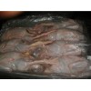供应冷冻白条鸭 进口白条鸭批发 冷冻鸭肉批发厂家