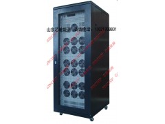 300V100A200A300A400A500A开关直流电源图2