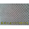 邢台菱形网_大量供应高品质的浸塑pvc菱形网