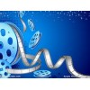 微电影创作公司哪家较受欢迎|微电影咨询