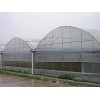 【荐】放心的薄膜连栋大棚建造|连栋大棚建造
