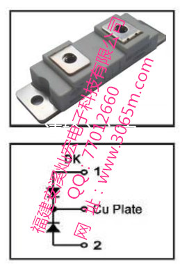 MMF200Y060DK1_副本