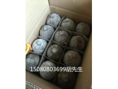 专利洞藏老坛酒厂家批发电话洞藏老坛酒量大从优图3