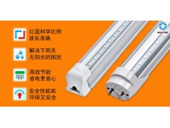 60CM一体化植物灯红蓝比例室内育苗专用补光灯图2