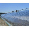蔬菜大棚薄膜厂家|供应潍坊优质的温室大棚