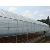 高标准！(黑龙江温室建设)湖北蔬菜大棚建设【北方温室大棚建设