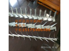 镀锌刺钉/不锈钢刺钉/PVC刺钉图2
