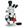 体视荧光显微镜MZX81