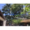 大量供应废气喷雾设备垃圾中转站喷雾除臭