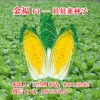 小白菜种子|优良白菜种子| 娃娃白菜种子价格