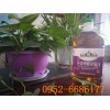 义乌清真小磨压榨胡麻油汕头小磨压榨胡麻油周福乐供