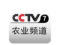 cctv7广告多少钱一年