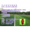 杭州足球场施工-杭州中江体育人造草皮足球场报价室内足球场铺装