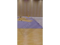 广东深圳防木纹室外运动地板篮球场pvc胶地板图3
