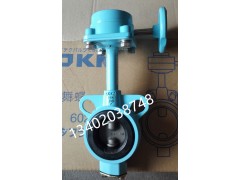 OKM对夹式蝶阀602A-G涡轮蝶阀图2