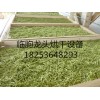 潍坊专业的蔬菜烘干设备批售