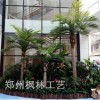 郑州仿真椰子树假椰子树室内外专用椰子树假树厂家玻璃钢椰子树