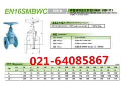 EN16SMBWC日本KITZ北泽球墨铸铁法兰软密封闸阀图2