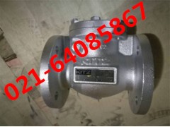 北泽FCO旋启式止回阀_EN16FCO止回阀_KITZ止回阀图2