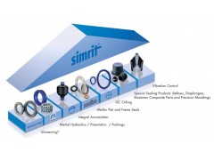 德国SIMRIT/CFW骨架油封图2