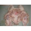 佛山猪头肉价格，进口美国猪脚，加拿大猪头