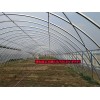 营口几字钢，建造几字钢就来沈阳冀衡温室大棚