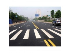 南京道路交通标线划线公交专用道南京达尊交通工程公司图3
