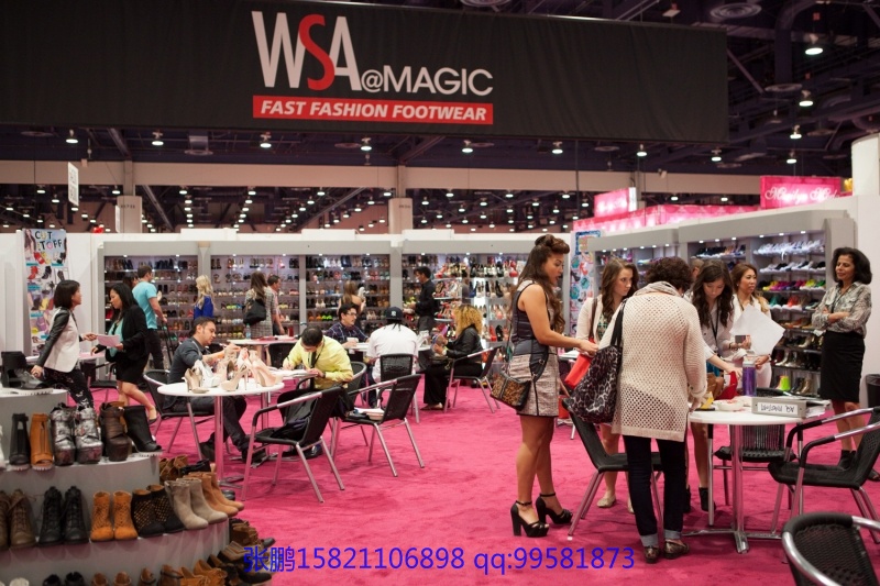 wsa_8