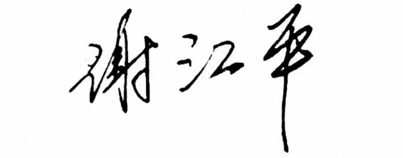 豪迈木门