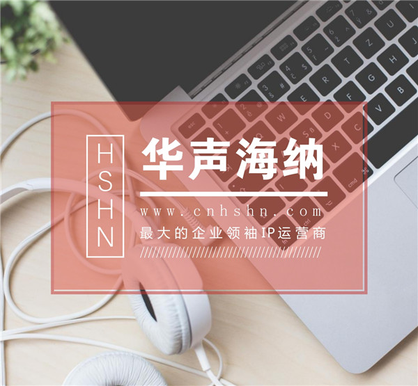 华声海纳