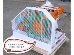 无油氧气压缩机图3