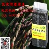 优质洋县黑米批发1000g原产地高营养价值黑米，厂家直销