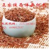 洋县有机红米批发1000g补血养生红糙米，产地厂家直销