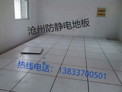 沧州黄骅港任丘献县廊坊大城孟村德州唐山陶瓷防静电机房地板图3