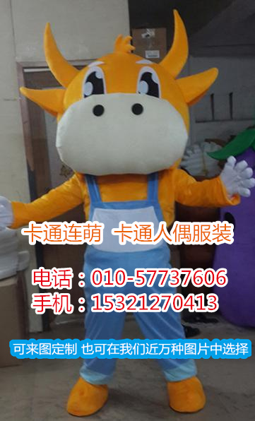 zz1224.1