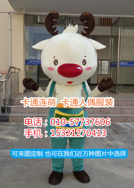 zz1613.1