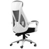 电脑椅品牌就选黑白调办公家居，成就转椅行业领军品牌