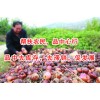 东莞品种去库存商城
