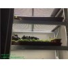 人工气候箱智能人工气候箱PRX-600B颐习供