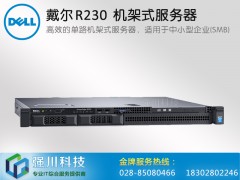 戴尔服务器成都授权经销商_PowerEdgeR230机架式图2