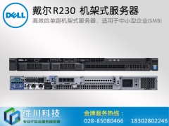 戴尔服务器成都授权经销商_PowerEdgeR230机架式图3