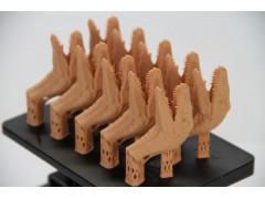 德国EnvisionTECPerfactory3D打印机图3