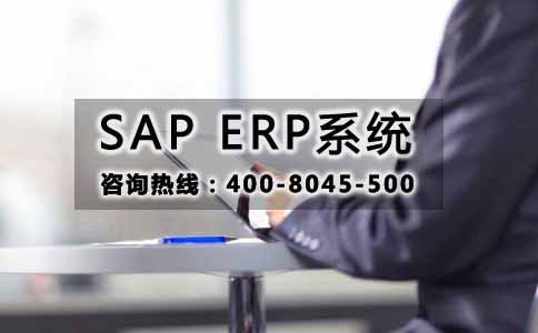 SAP ERP系统