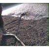 南充陶粒混凝土-陶粒混凝土施工工艺-南充陶粒混凝土配比