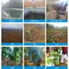智能农业系统海南农业物联网海南顺禾节水科技有限公司