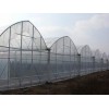 【666】蔬菜水果种植大棚+蔬菜温室大棚+葡萄温室大棚建造