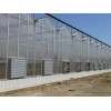 【棒呆了】纹络式温室大棚建造*文洛式玻璃温室大棚*【万铭】