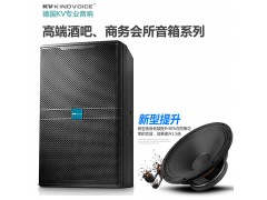 德国KV音响KP12套装图2