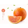 塔罗科血橙网上商城血橙价格红河州丰茂农业科技发展有限公司